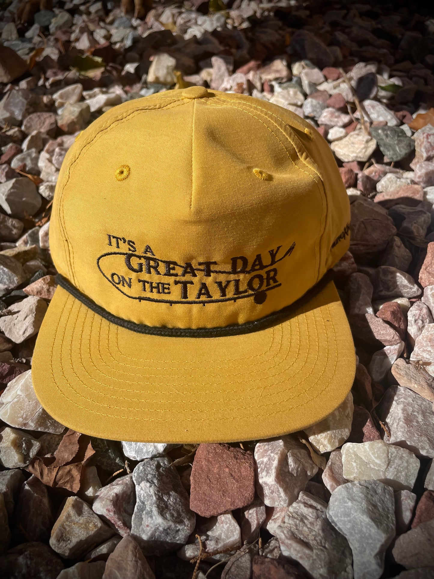 It's A Great Day on the Taylor - PalominoXHarmels