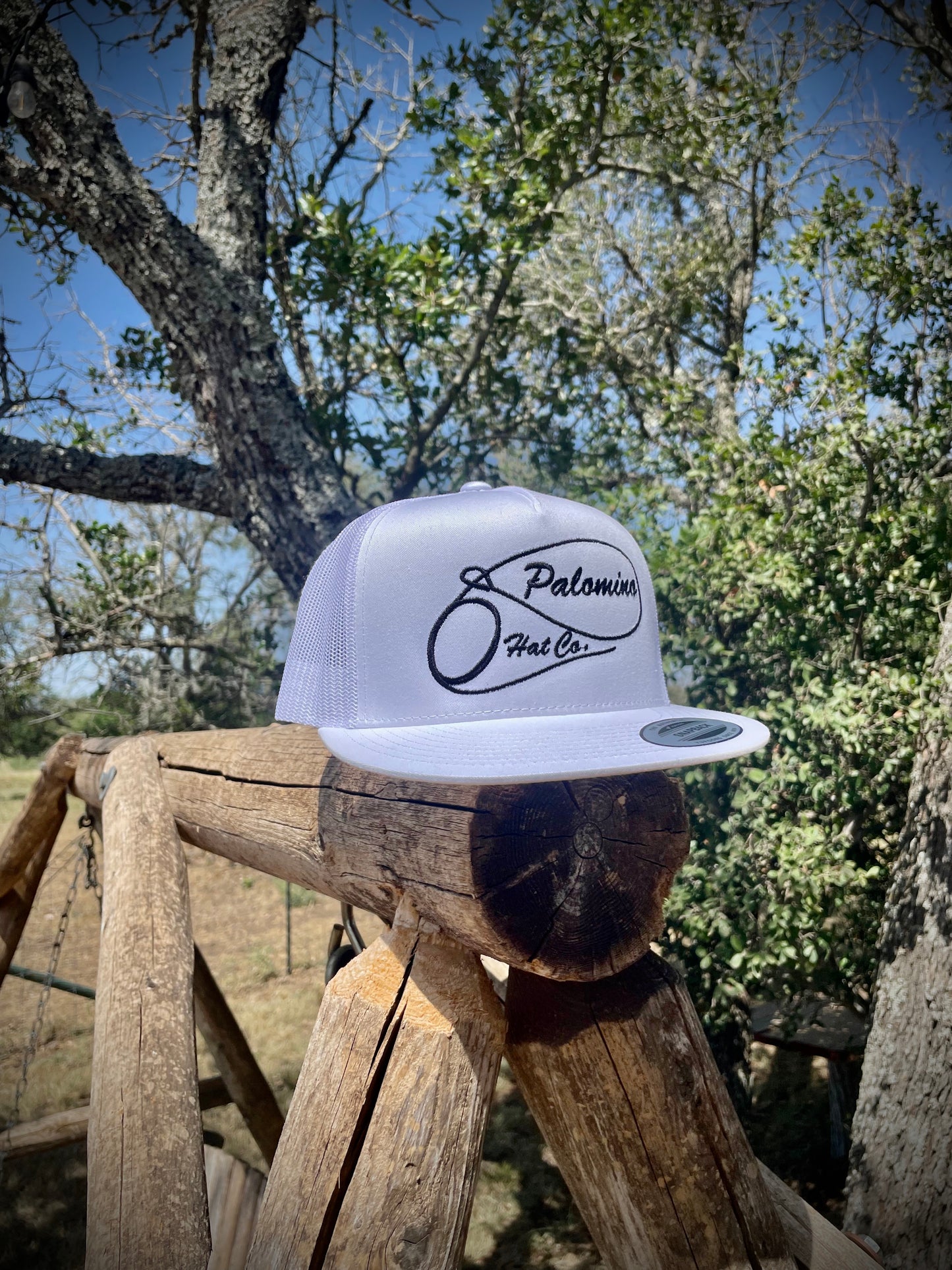 The Lasso - White